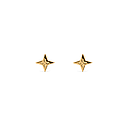 The Shooting Star Earrings (Pair)