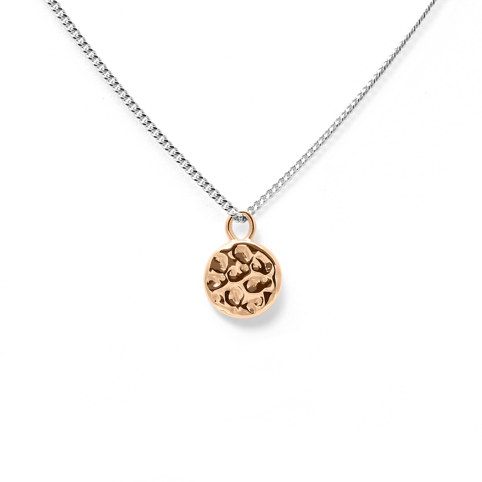 Gold Meadow Pendant + Silver Curb Chain