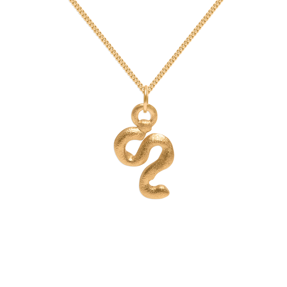 Zodiac Charm Necklace (Leo)