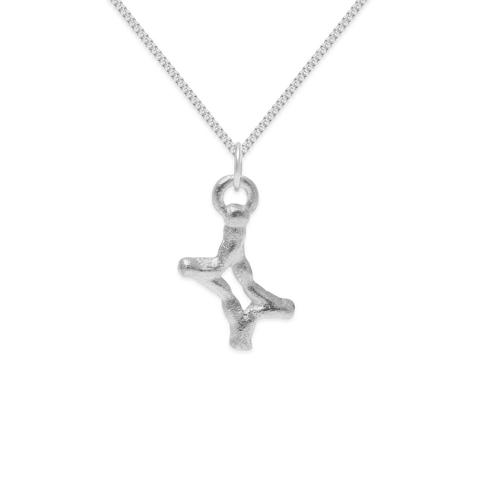 Zodiac Charm Necklace (Gemini)