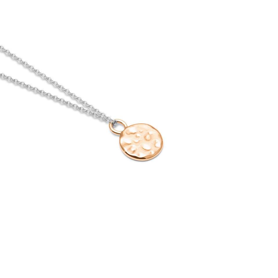 Gold Meadow Pendant + Silver Anchor Chain