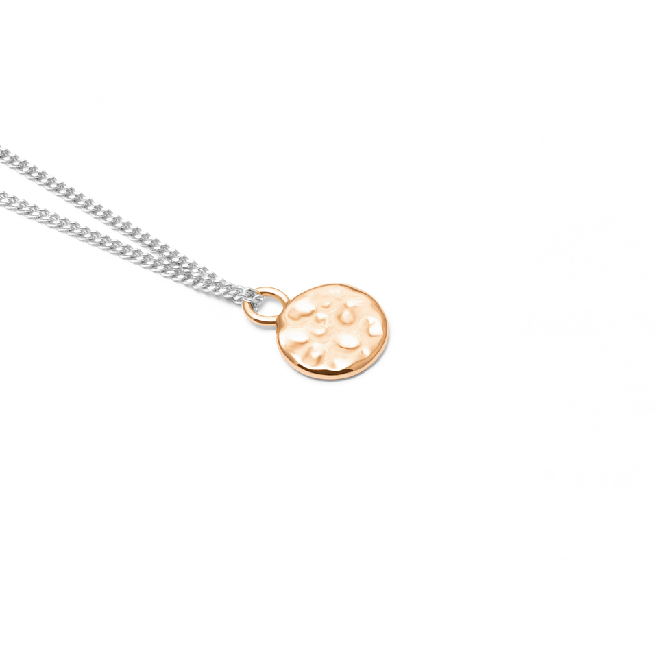 Gold Meadow Pendant + Silver Curb Chain