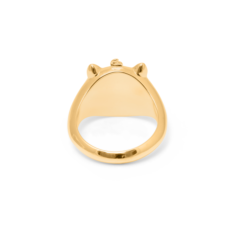 Gold Pigger Ring Women