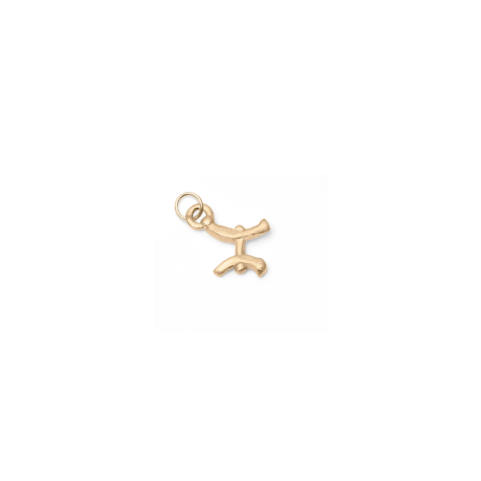 Zodiac Charm Pendant (Pisces) Solid Gold 14 ct