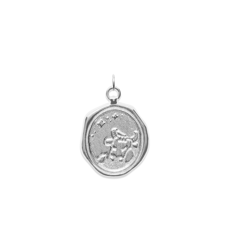 Zodiac Seal Pendant 925 Silver
