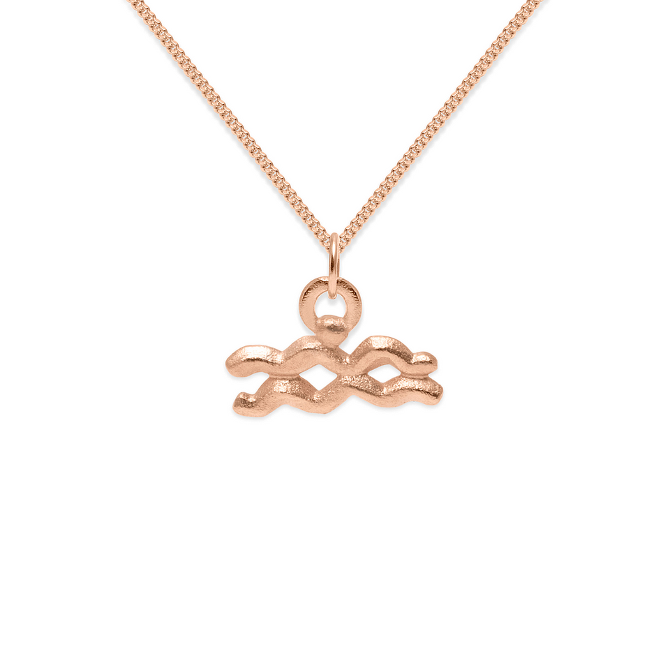 Zodiac Charm Necklace (Aquarius)