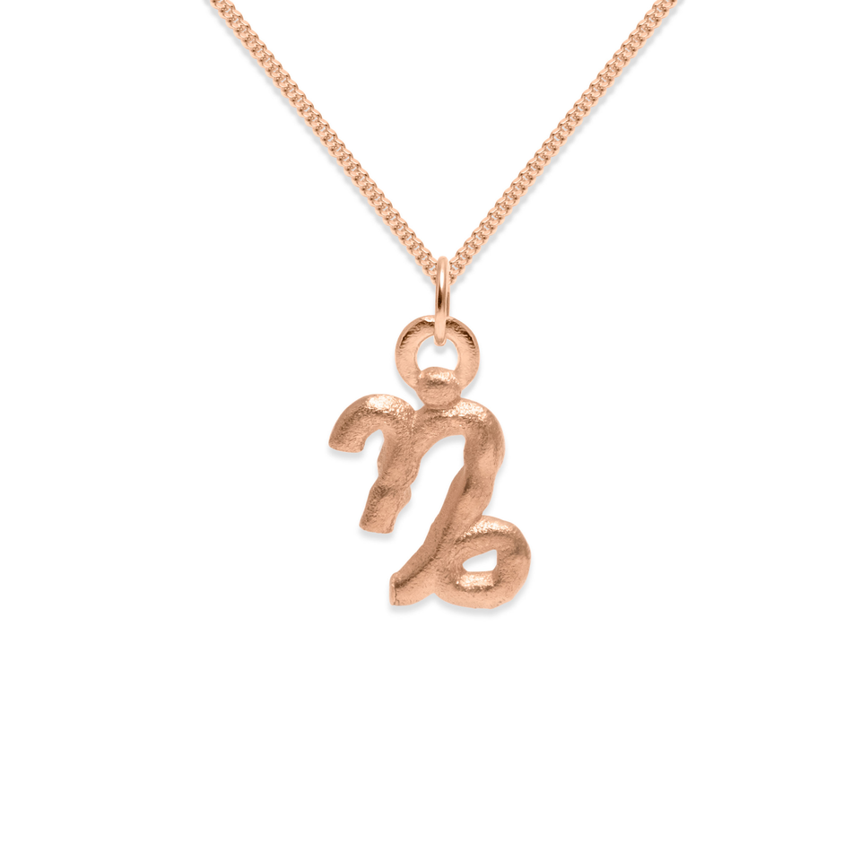 Zodiac Charm Necklace (Capricorn)