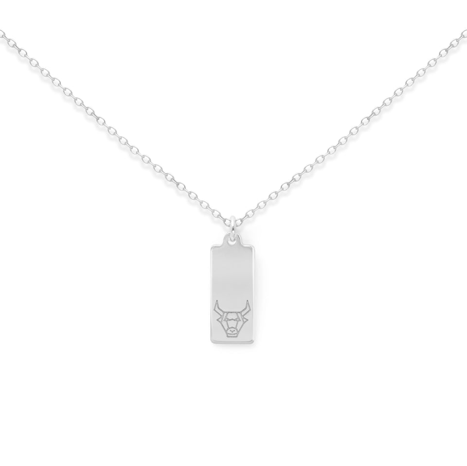 Make a Wish Taurus Tag Necklace