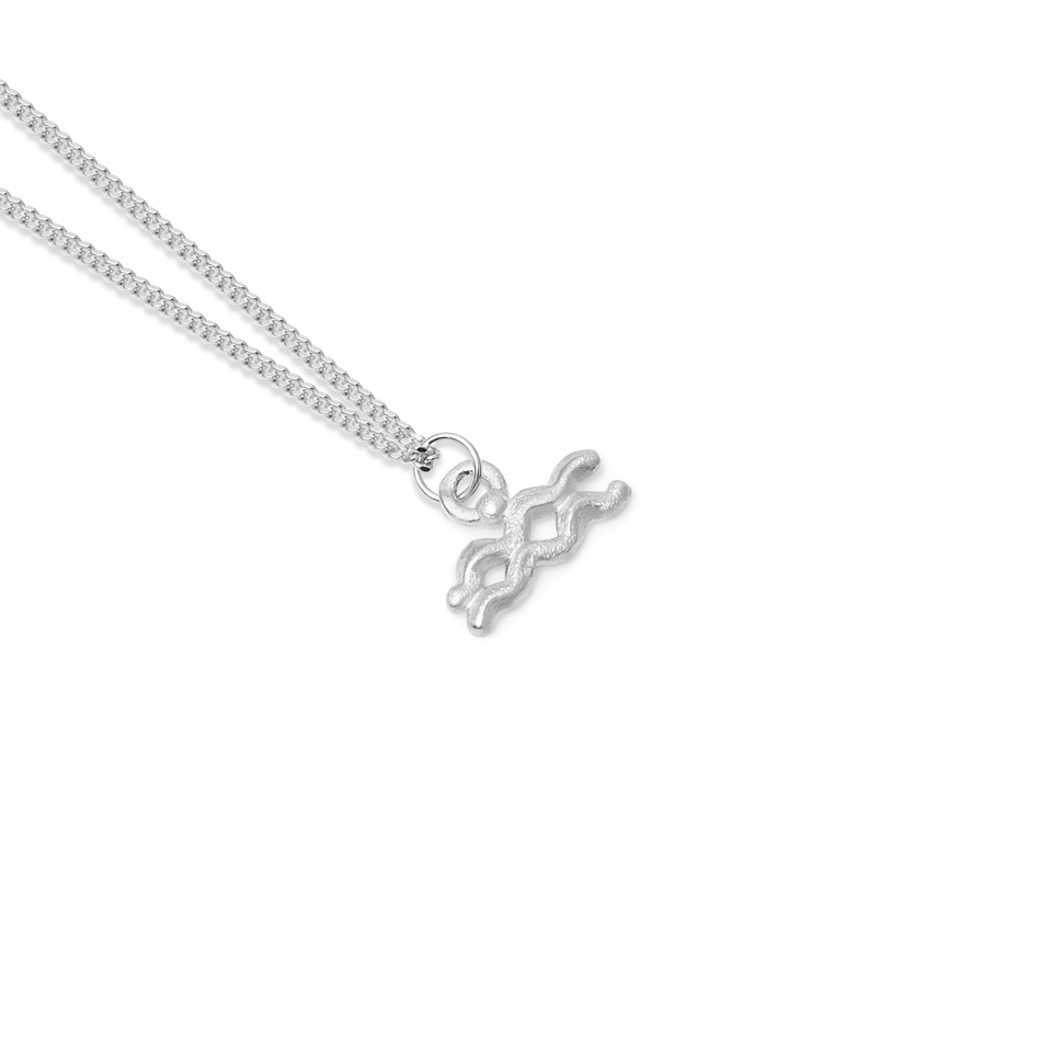Zodiac Charm Necklace (Aquarius)